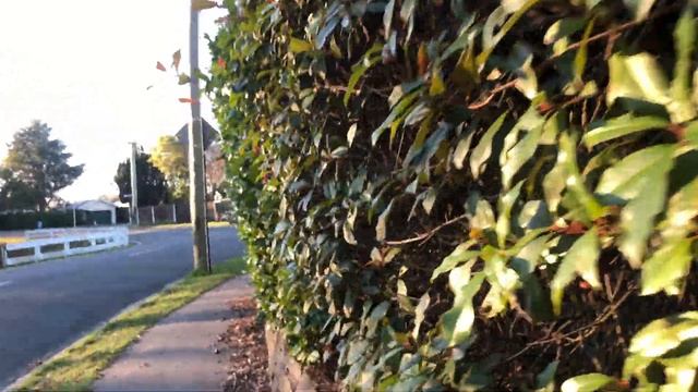 Дома Крайстчерча - Часть 2 / Houses of Christchurch, New Zealand смотреть онлайн