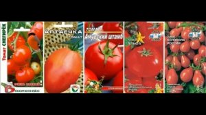 Помидоры для ЛЕНИВЫХ , Безрассадные и  Рассадой . Сорта