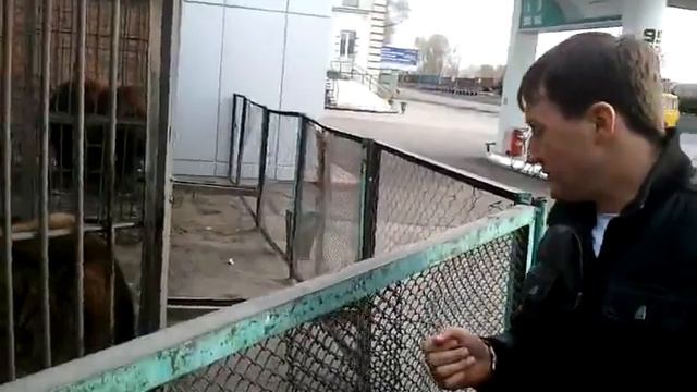 Мишань, давай на брудершафт смотреть онлайн
