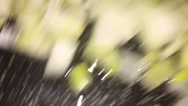 Готовим обед ?/рыбный суп/убралась дома /клещи ??