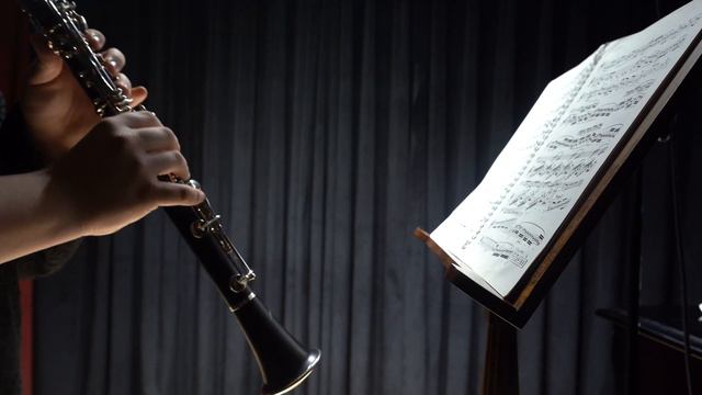 Louis spohr clarinet concerto no.2 смотреть онлайн
