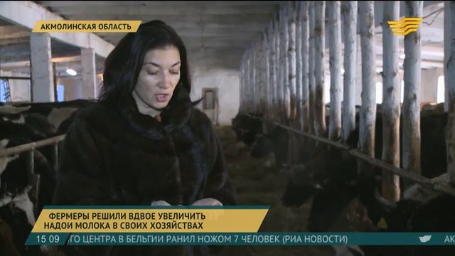 Фермерcкие хозяйства Кокшетау увеличили надои молока вдвое смотреть онлайн
