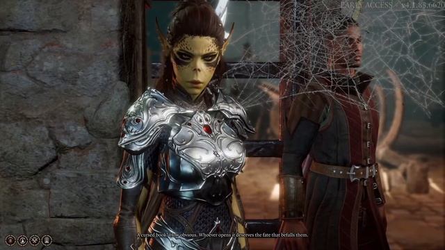 Baldur's Gate 3 - Get book behind locked doors (Necromancy of Thay side quest) смотреть онлайн