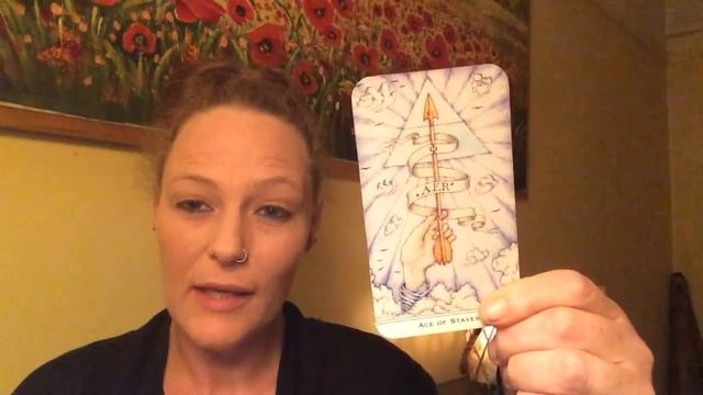 The Nigel Jackson Tarot (Medieval Enchantment) Trimmed - Mini Review смотреть онлайн