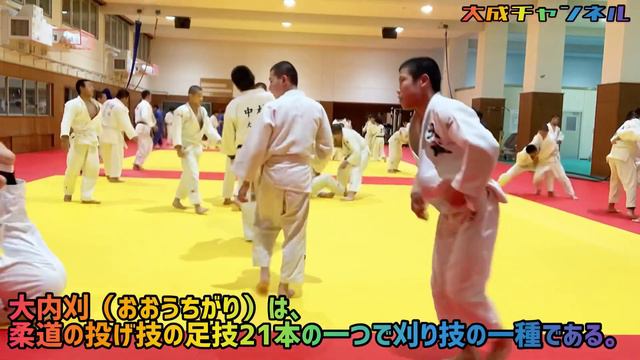 🏆全中優勝🏆経験のある大成中学校柔道部の立技乱取り‼️しかし高校生が一部混じっての乱取り💦頑張れ大成中柔道部🥋‼️激闘乱取りNo.1