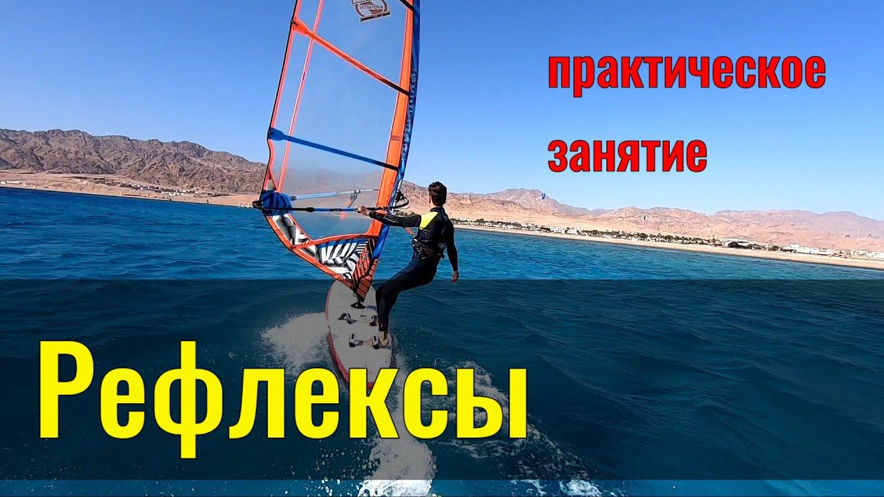 Рефлексы/практическое занятие