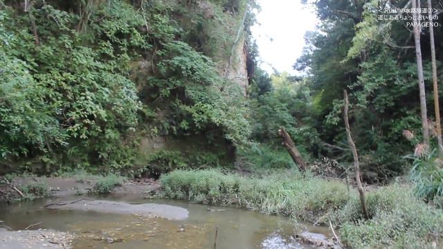 【川廻し】未成橋の先に置き去られた光景があった～沢山川の水路隧道③ [字幕あり] смотреть онлайн