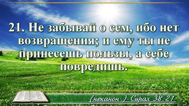 ВидеоБиблия Книга премудрости Сирахова глава 38 с музыкой смотреть онлайн