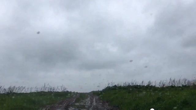 Нива и грязь лучшие друзья ?♂️ 31.05.2020 смотреть онлайн