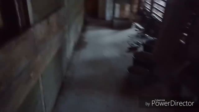 убрали Дикуху ,рыбалка 15 октября 2018 г. смотреть онлайн