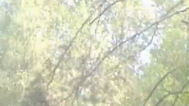 Злынка смотреть онлайн