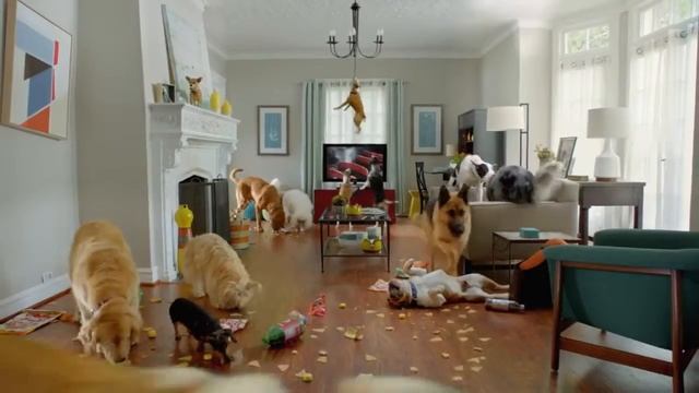 'Dog Party' Pergo Commercial смотреть онлайн