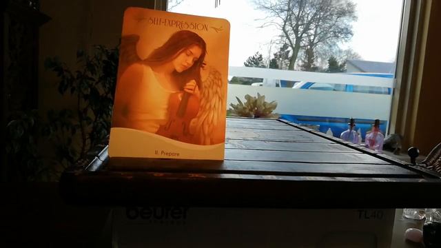 ?Review? -Women's Bodies, Women's Wisdom oracle cards ?✨ смотреть онлайн