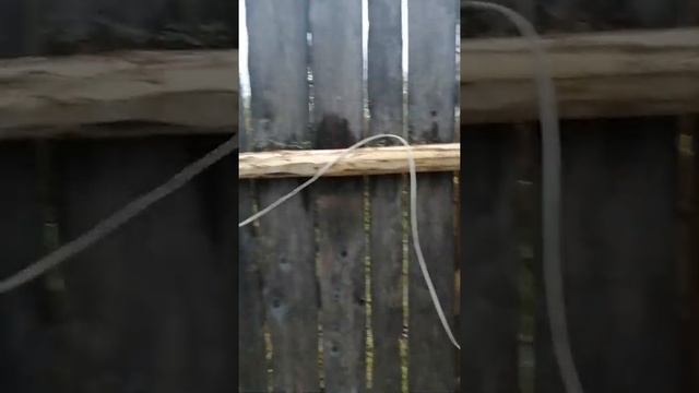 Электроизгородь на пасеке смотреть онлайн