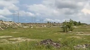 Карабин Лось 7-1 стрельба на кучность