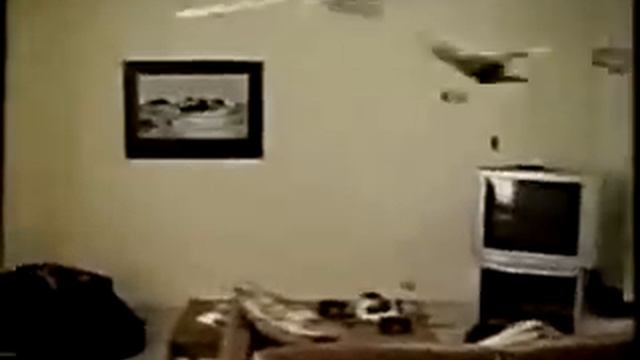 Кот и Вентилятор смотреть онлайн