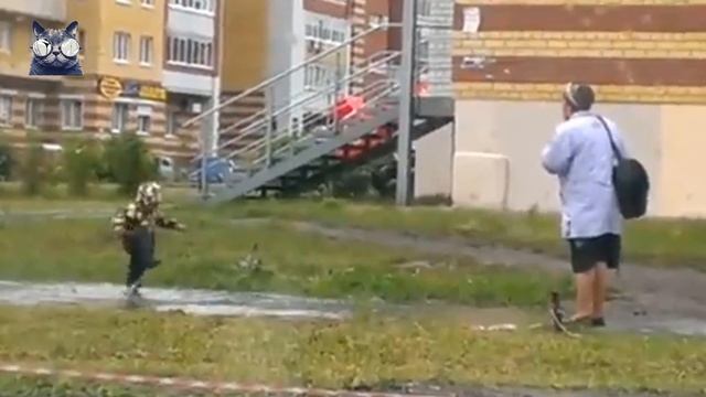 Анекдот про троллей, бабушка, огурец и внук.(Норкин прикол) смотреть онлайн