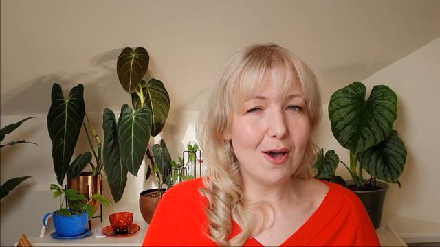 Mega Rare Plants and other cool plants that I really want! смотреть онлайн
