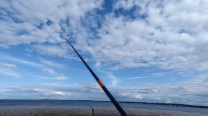 Narval Argument кастинг. Первое впечатление.