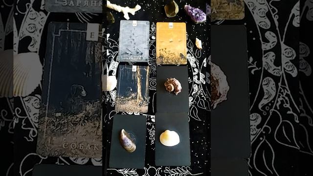 Ваше тотемное животное | Мини Таро расклад на 6 позиций смотреть онлайн