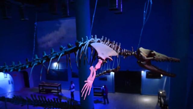 Hurghada Grand Aquarium смотреть онлайн