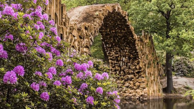 Giftpflanzen - im Garten | giftige Pflanzen - die ihr kennen solltet | 5 giftige - Pflanzen смотреть онлайн