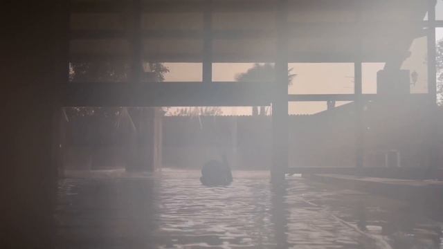 BluVolley si allena al Parco Termale del Garda Villa dei Cedri | 24.08.2019 смотреть онлайн