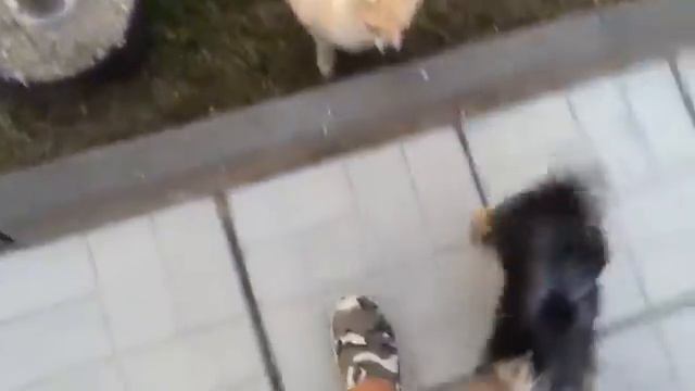 Саша Артемова про будущую свадьбу смотреть онлайн