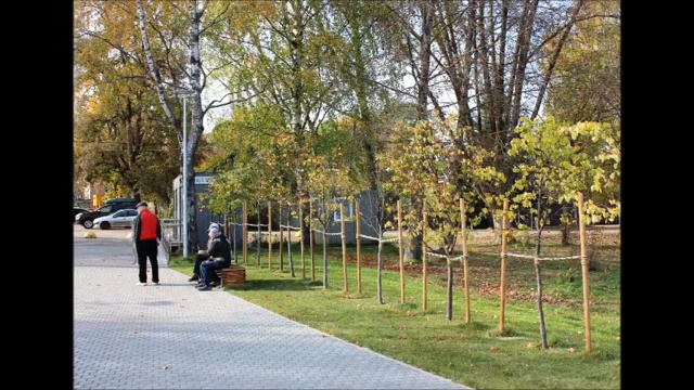 Есть город на земле один... (прогулки по Валдаю) смотреть онлайн