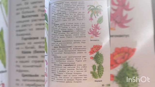 Атлас от земли до неба. Комнатные растения с красивыми цветками (2) стр. 25#окружающиймир #1класс