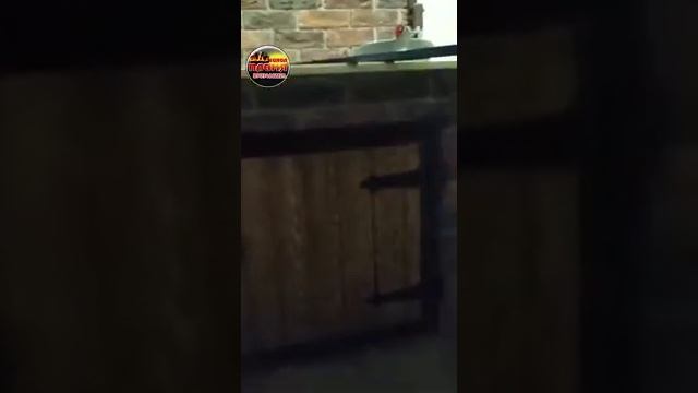 Мангал собран по проекту Олега Михалыча из кирпича Донские зори смотреть онлайн