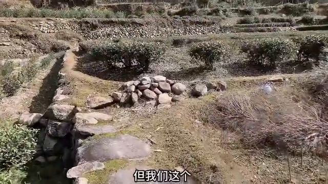 39岁老光棍和分手五年多的前女友联系上了，可惜对方已经结婚生子 смотреть онлайн