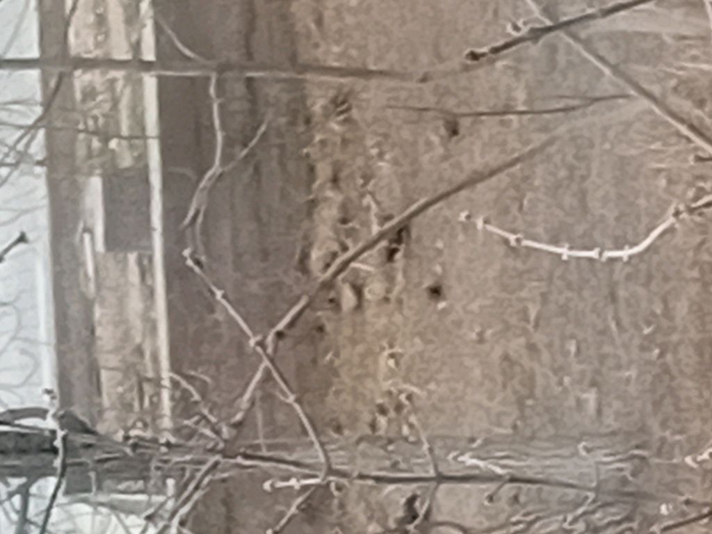 кормлю птичек ураа май скоро смотреть онлайн