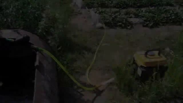 Капельный Полив Цена смотреть онлайн