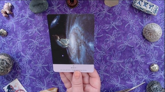 Taurus Quick Draw Oracle for August: Wait смотреть онлайн