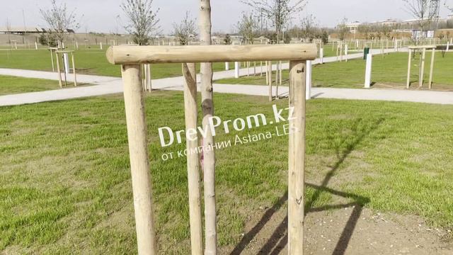 Колья - подпорки для деревьев город Туркестан; Защита деревьев от ветровых нагрузок; смотреть онлайн