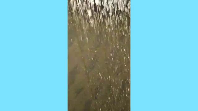 Тропический душ своими руками 4 варианта [сантехник онлайн]