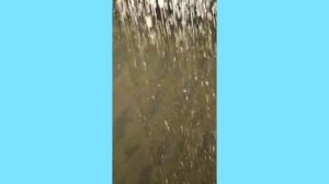 Тропический душ своими руками 4 варианта [сантехник онлайн]