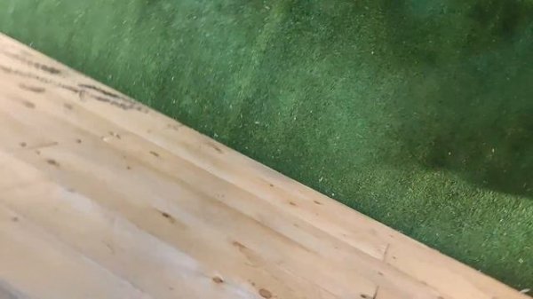 Мотоцикл 300 DF BIG BORE XF300-B CBS300 с балансиром – перфекционист среди двухколесных гигантов!