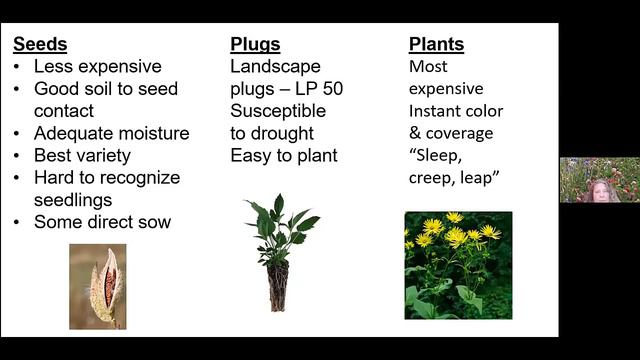 Nancy Berlin Establishing and Maintaining Meadows смотреть онлайн