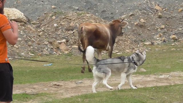 Самурский лес, Крепость и Водопад Хучни, Природный и Деревянный мосты. Северный Кавказ. Часть 3. смотреть онлайн