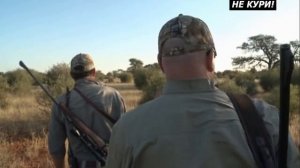 Охота на голубого гну. Африканское сафари - 2021г