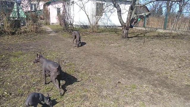 прерванный разговор заканчиваю. смотреть онлайн