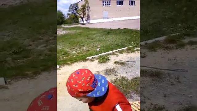 Дистанционное обучение физкультура смотреть онлайн