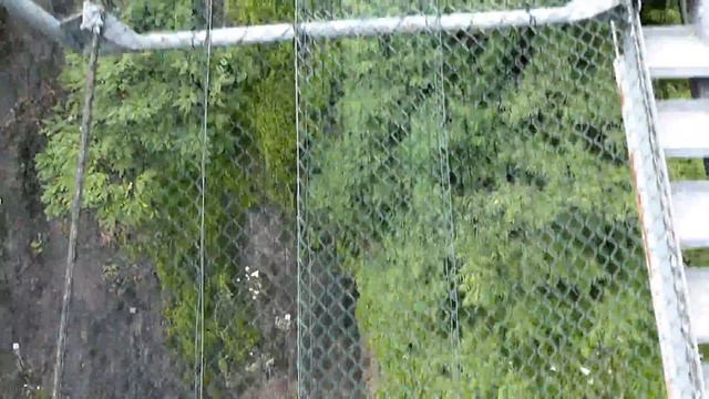 Канатная дорога в пражском зоопарке смотреть онлайн