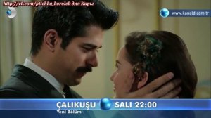 Королёк-птичка певчая - 1-й анонс к 20 серии (рус.суб)