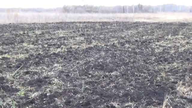 Биотехния октябрь2017 смотреть онлайн