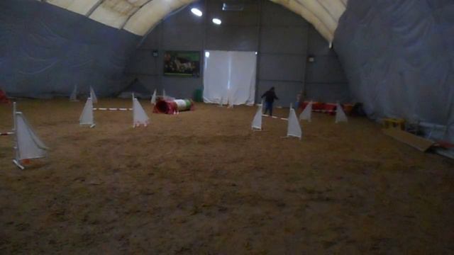 Манеж 21.11.2015 Д0 Туманова Светлана и Энза смотреть онлайн