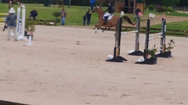 Grace & Rowan 2019 Texas Rose HT I/P SJ смотреть онлайн