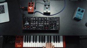 Behringer CAT Synthesizer -only playing